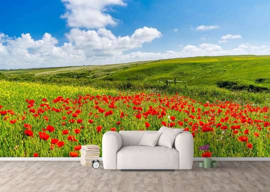 Wall Mural - Field with poppies