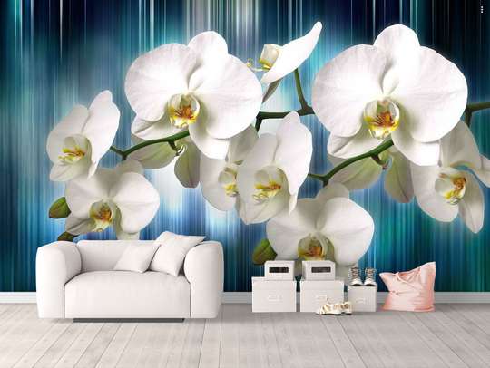 Wall Mural - White orchid on a blue background