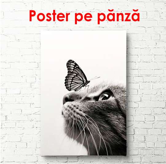 Poster - Pisică și fluture, 30 x 60 см, Panza pe cadru