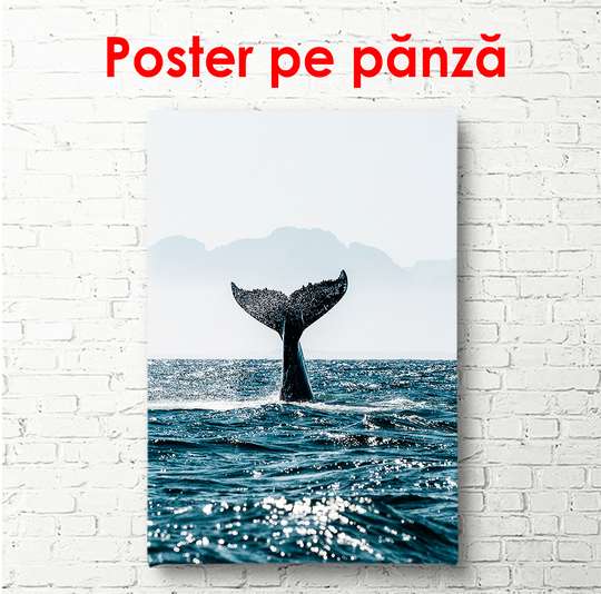 Poster - Whale tail, 50 x 75 см, Framed poster on glass