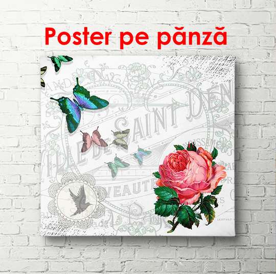 Poster - Red peony on a gray background, 100 x 100 см, Framed poster