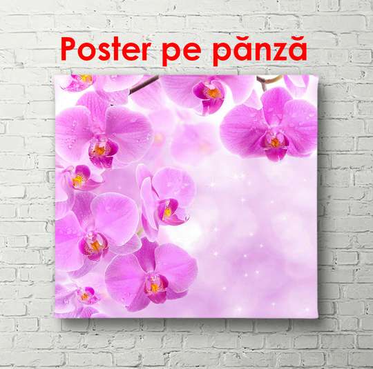 Постер - Фиолетовые орхидеи на нежном фоне с бликами, 100 x 100 см, Постер в раме