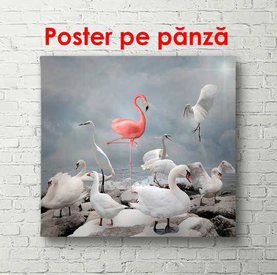 Poster - Pink flamingo on an abstract background, 100 x 100 см, Framed poster