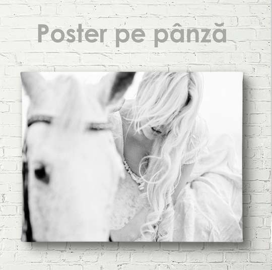 Постер, Белая лошадь, 45 x 30 см, Холст на подрамнике