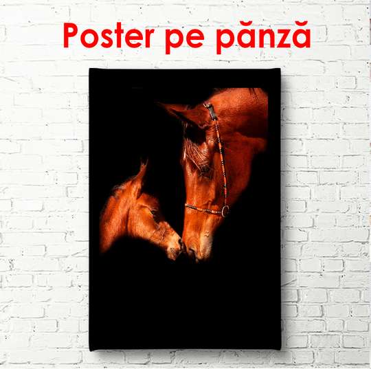 Постер, Лошади на черном фоне, 60 x 90 см, Постер в раме, Животные