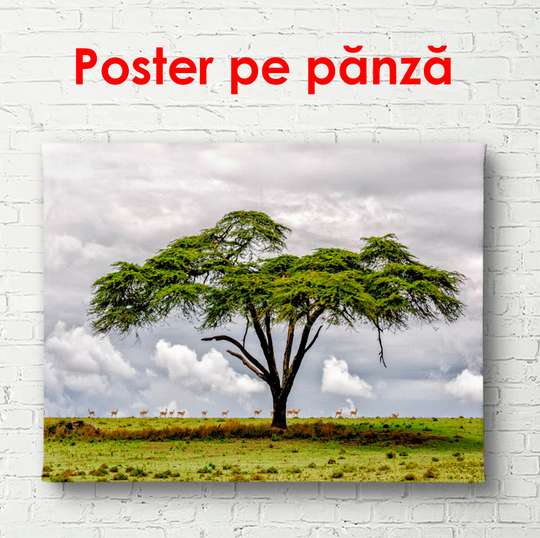 Постер - Зеленое дерево, 90 x 60 см, Постер в раме