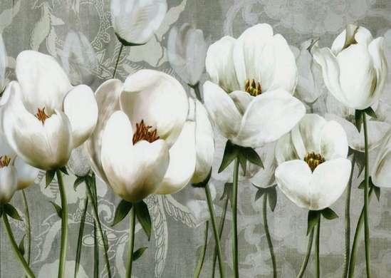 Fototapet - Un câmp cu flori albe