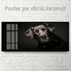 Постер, Собака- друг, 60 x 30 см, Холст на подрамнике, Животные