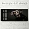 Poster, Câinele prieten, 60 x 30 см, Panza pe cadru, Animale