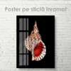 Poster - Shell, 60 x 90 см, Framed poster on glass, Marine Theme