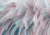 Wall mural - Pink feathers with pale blue