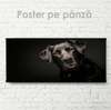 Poster, Câinele prieten, 60 x 30 см, Panza pe cadru, Animale