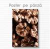 Poster - Cones, 60 x 90 см, Framed poster on glass, Botanical