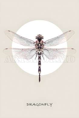 Poster - Dragonfly, 30 x 45 см, Canvas on frame, Animals