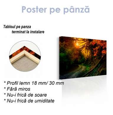 Poster - Bright autumn sunset in the forest, 45 x 30 см, Canvas on frame