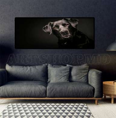 Poster, Dog friend, 60 x 30 см, Canvas on frame, Animals