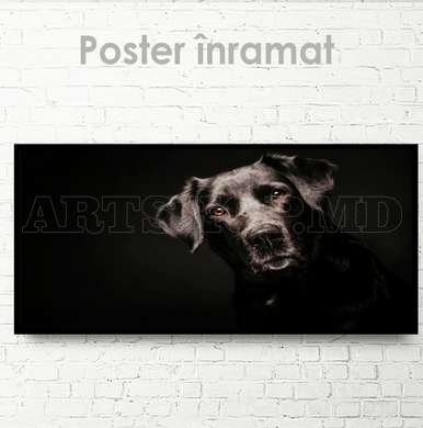 Poster, Dog friend, 60 x 30 см, Canvas on frame, Animals