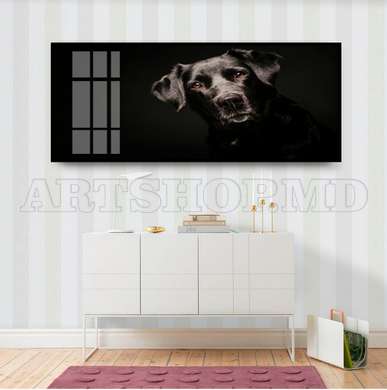 Poster, Dog friend, 60 x 30 см, Canvas on frame, Animals