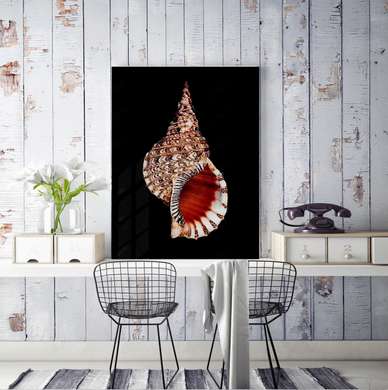 Poster - Shell, 60 x 90 см, Framed poster on glass, Marine Theme