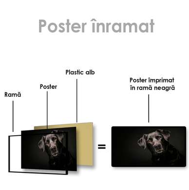 Poster, Câinele prieten, 60 x 30 см, Panza pe cadru, Animale