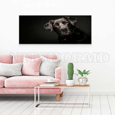 Poster, Dog friend, 60 x 30 см, Canvas on frame, Animals