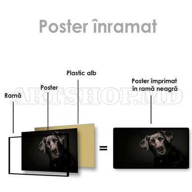 Poster, Dog friend, 60 x 30 см, Canvas on frame, Animals