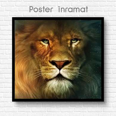 Poster, Leo, 100 x 100 см, Framed poster on glass, Animals