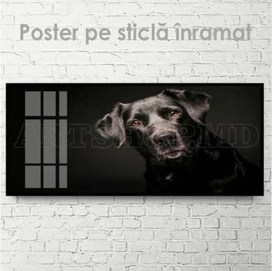 Poster, Dog friend, 60 x 30 см, Canvas on frame, Animals