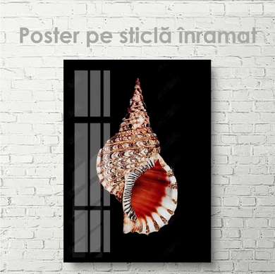 Poster - Scoică, 60 x 90 см, Poster inramat pe sticla