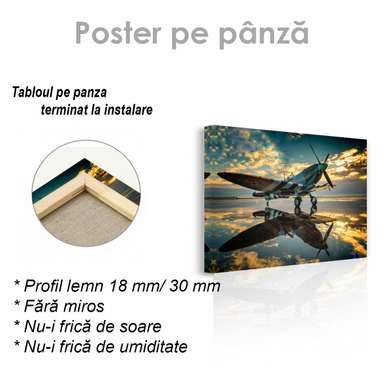 Poster - Avion pe fond de apus de soare, 45 x 30 см, Panza pe cadru, Transport