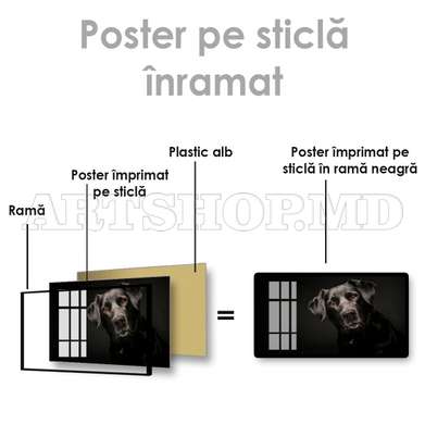 Poster, Dog friend, 60 x 30 см, Canvas on frame, Animals