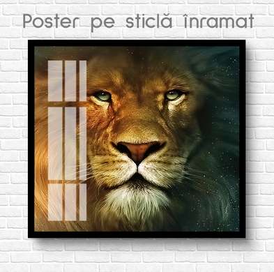 Постер, Лев, 100 x 100 см, Постер на Стекле в раме, Животные