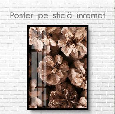 Poster - Cones, 60 x 90 см, Framed poster on glass, Botanical