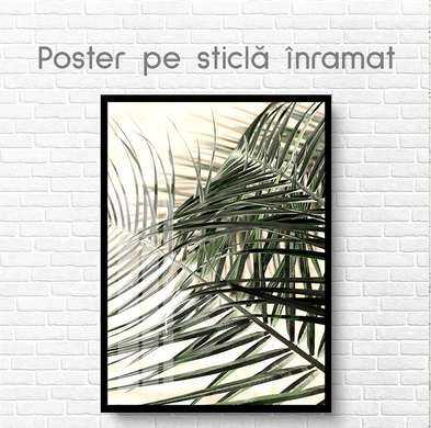 Постер - Листья пальм, 30 x 45 см, Холст на подрамнике