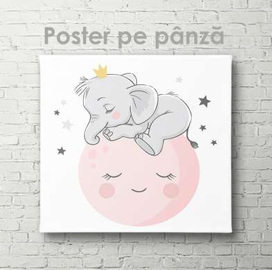 Poster - Elephant on the moon, 40 x 40 см, Canvas on frame