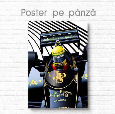 Poster - John Player Special, 30 x 45 см, Panza pe cadru