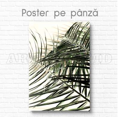 Постер - Листья пальм, 60 x 90 см, Постер на Стекле в раме, Ботаника