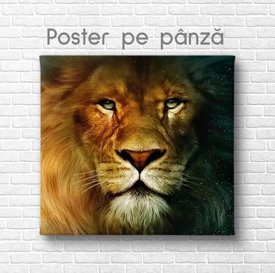 Постер, Лев, 40 x 40 см, Холст на подрамнике