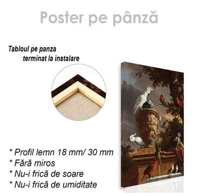 Poster - Papagali, 30 x 45 см, Panza pe cadru, Pictura