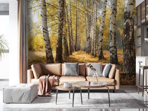 Wall Mural - Alley in the autumn forest with birches