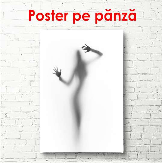 Poster - Mysterious Silhouette, 60 x 90 см, Framed poster, Nude