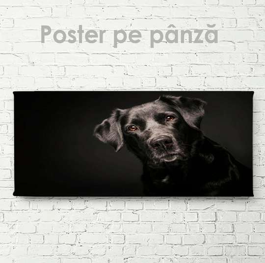 Постер, Собака- друг, 60 x 30 см, Холст на подрамнике
