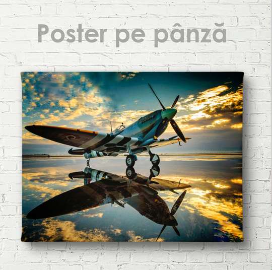 Poster - Avion pe fond de apus de soare, 45 x 30 см, Panza pe cadru