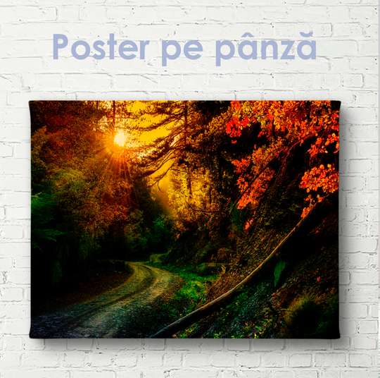 Poster - Apus luminos de toamnă în pădure, 45 x 30 см, Panza pe cadru