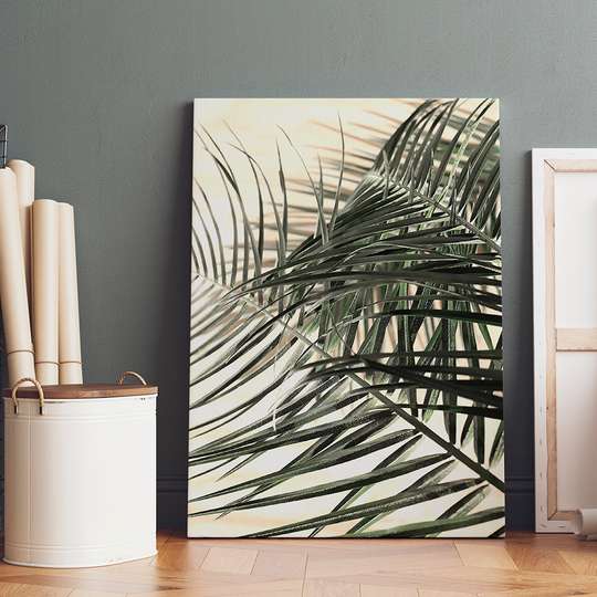 Poster, Frunze de palmier, 30 x 45 см, Panza pe cadru