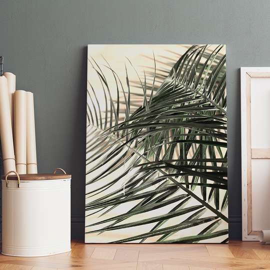 Poster, Frunze de palmier, Panza pe cadru