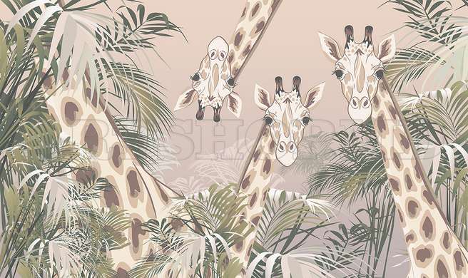 Wall mural - Cute giraffes