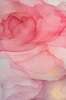 Framed Painting - Pink fluid art, 50 x 75 см