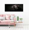 Poster, Dog friend, 60 x 30 см, Canvas on frame, Animals