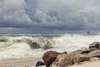 Wall Mural - Stormy sea